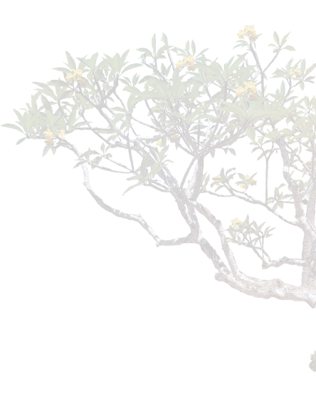 Flowers bloomed on a tree branch