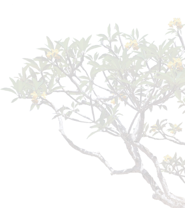 Tropical flowers blooming on a tree branch